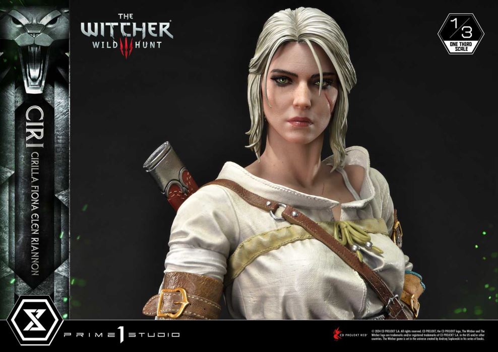 The Witcher 3: Wild Hunt Ciri Fiona Elen Riannon