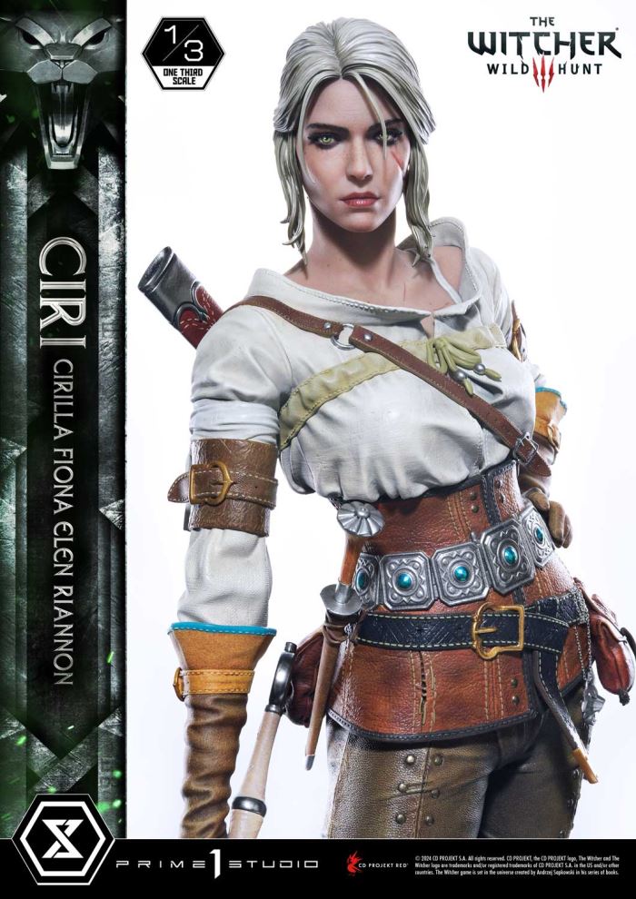 The Witcher 3: Wild Hunt Ciri Fiona Elen Riannon