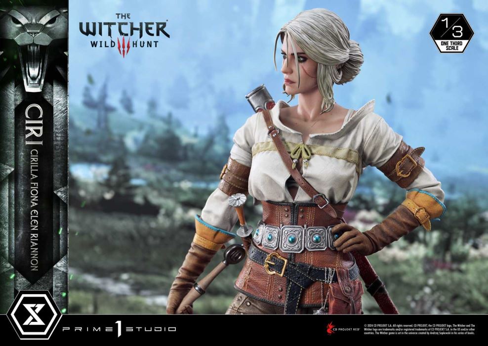 The Witcher 3: Wild Hunt Ciri Fiona Elen Riannon