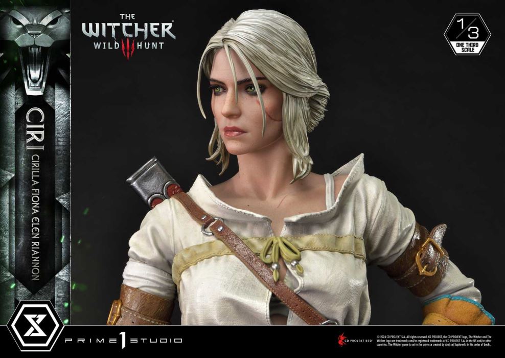 The Witcher 3: Wild Hunt Ciri Fiona Elen Riannon