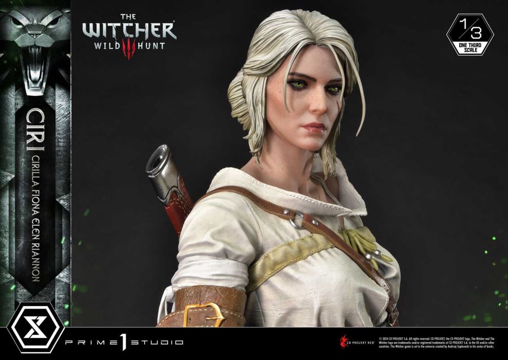 The Witcher 3: Wild Hunt Ciri Fiona Elen Riannon