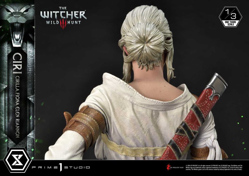 The Witcher 3: Wild Hunt Ciri Fiona Elen Riannon