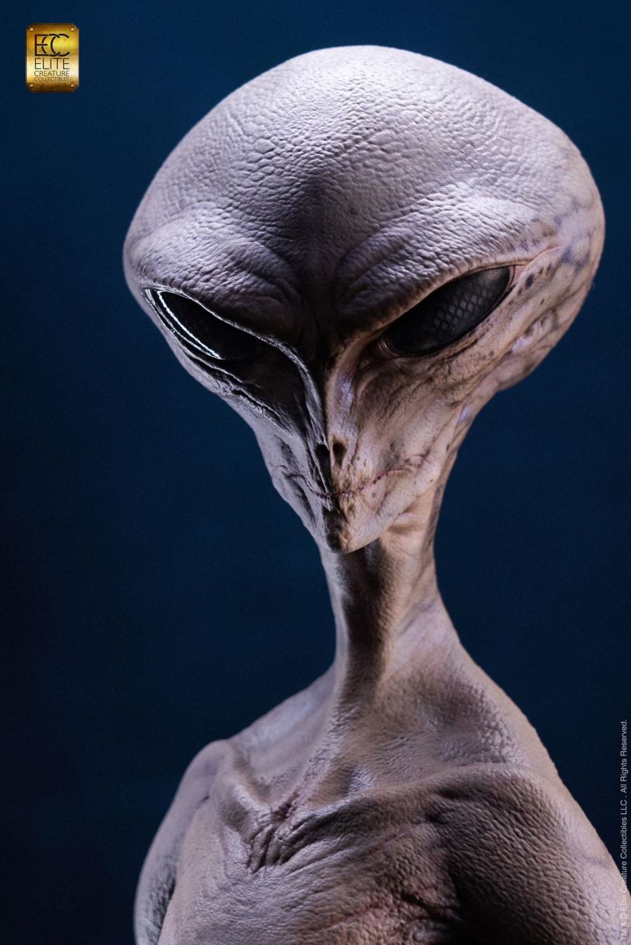 Reptilian Grey Maquette by Steve Wang