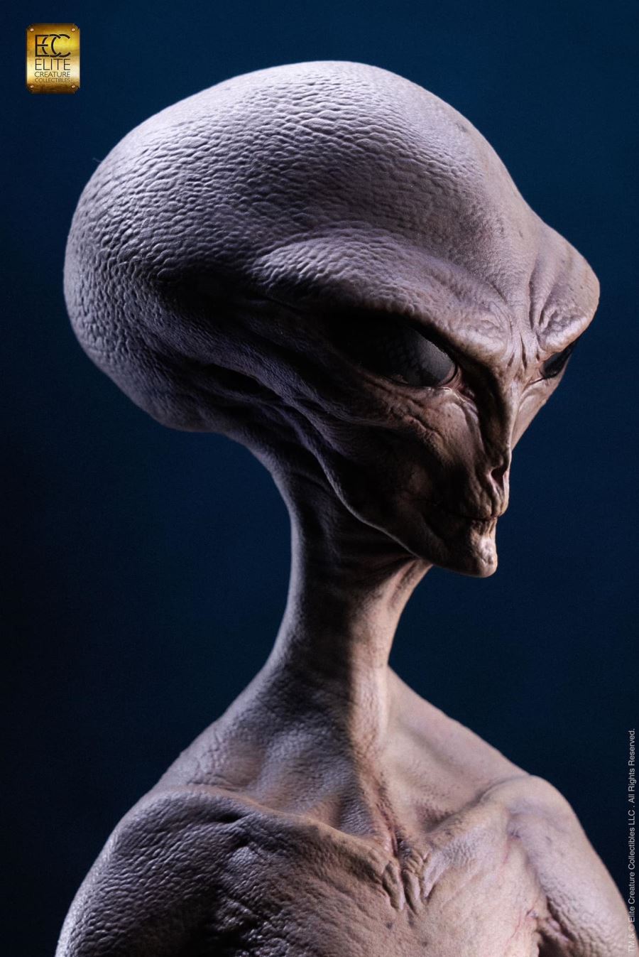 Reptilian Grey Maquette by Steve Wang