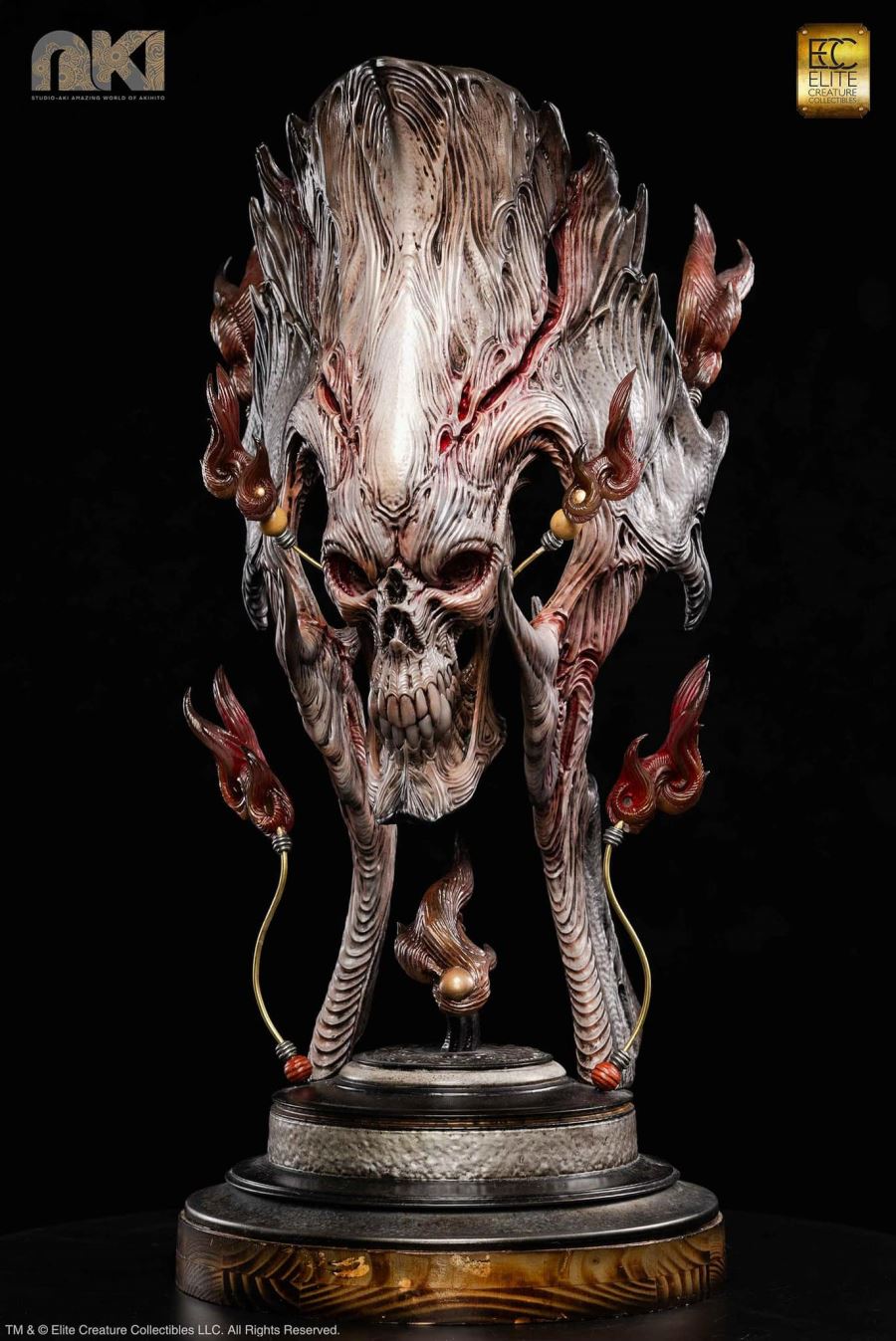 Fire Soul by Akihito