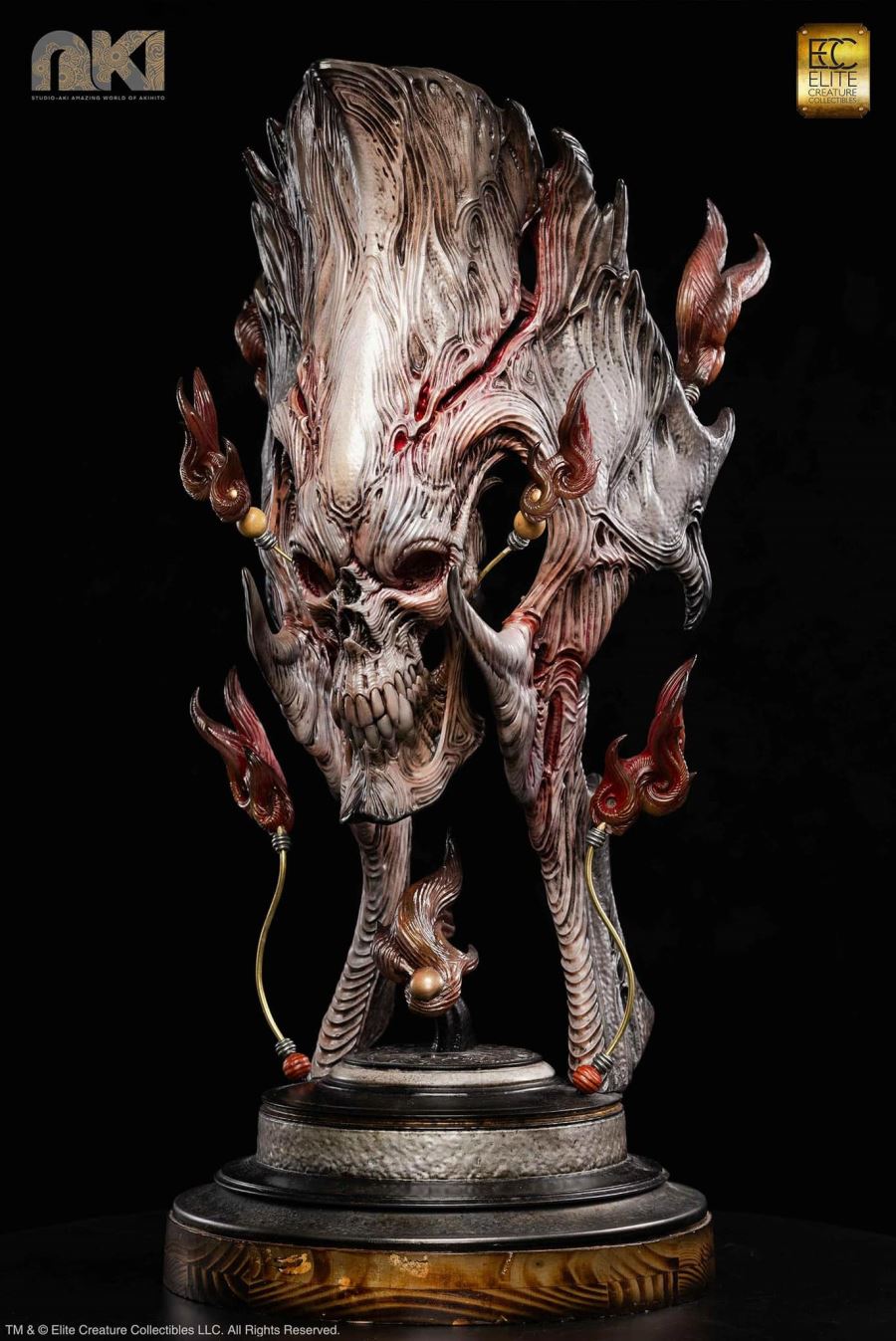 Fire Soul by Akihito