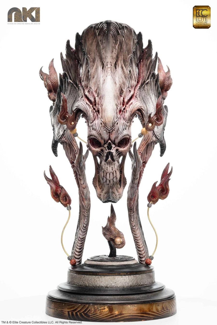 Fire Soul by Akihito