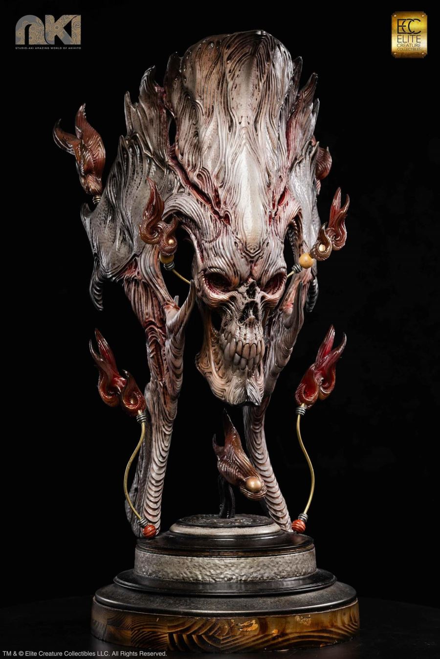 Fire Soul by Akihito