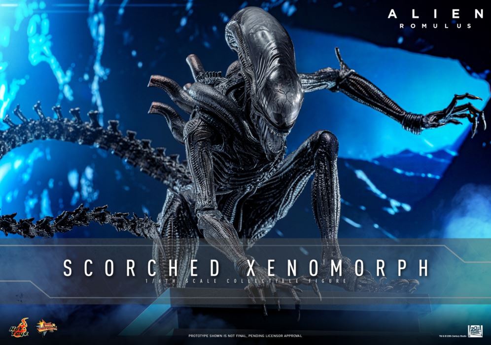 Scorched Xenomorph 1/6
