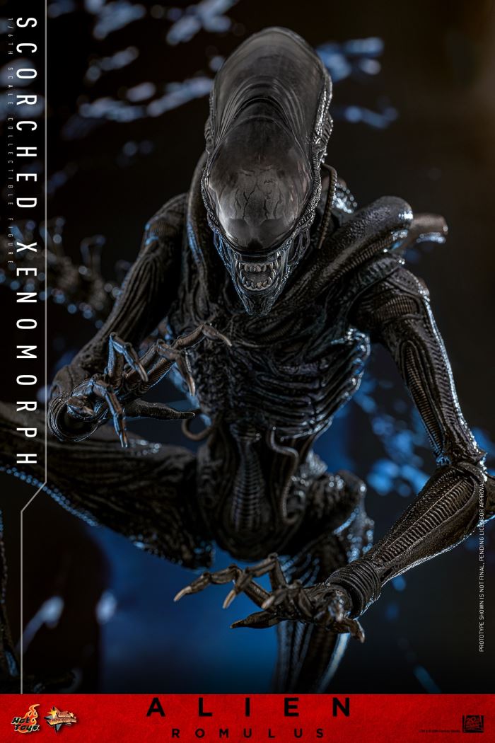Scorched Xenomorph 1/6