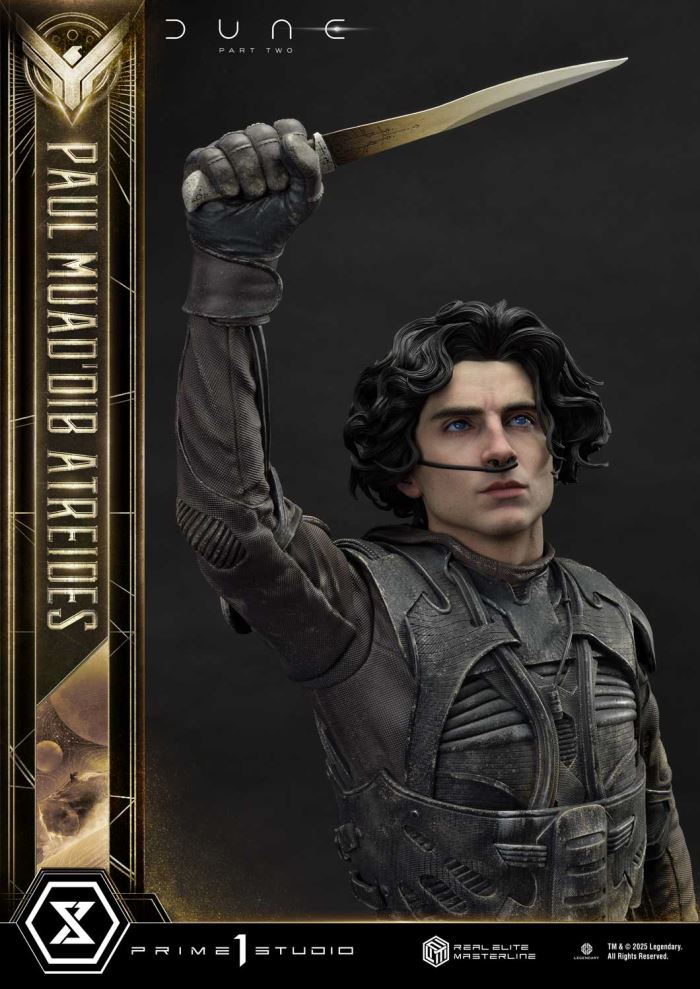 Paul Atreides - Dune: Part Two (Film)