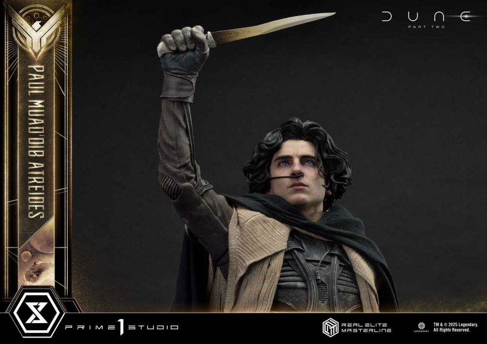 Paul Atreides - Dune: Part Two (Film)