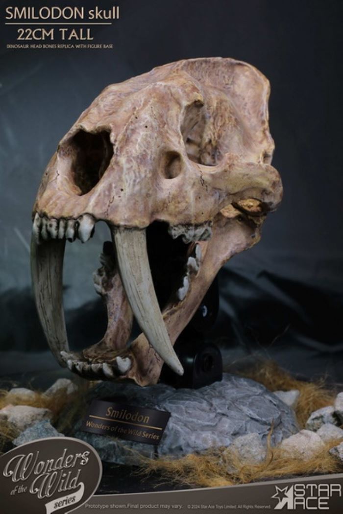 Wonder Wild Series - Sabre-toothed Tiger Skull Fossil Statue