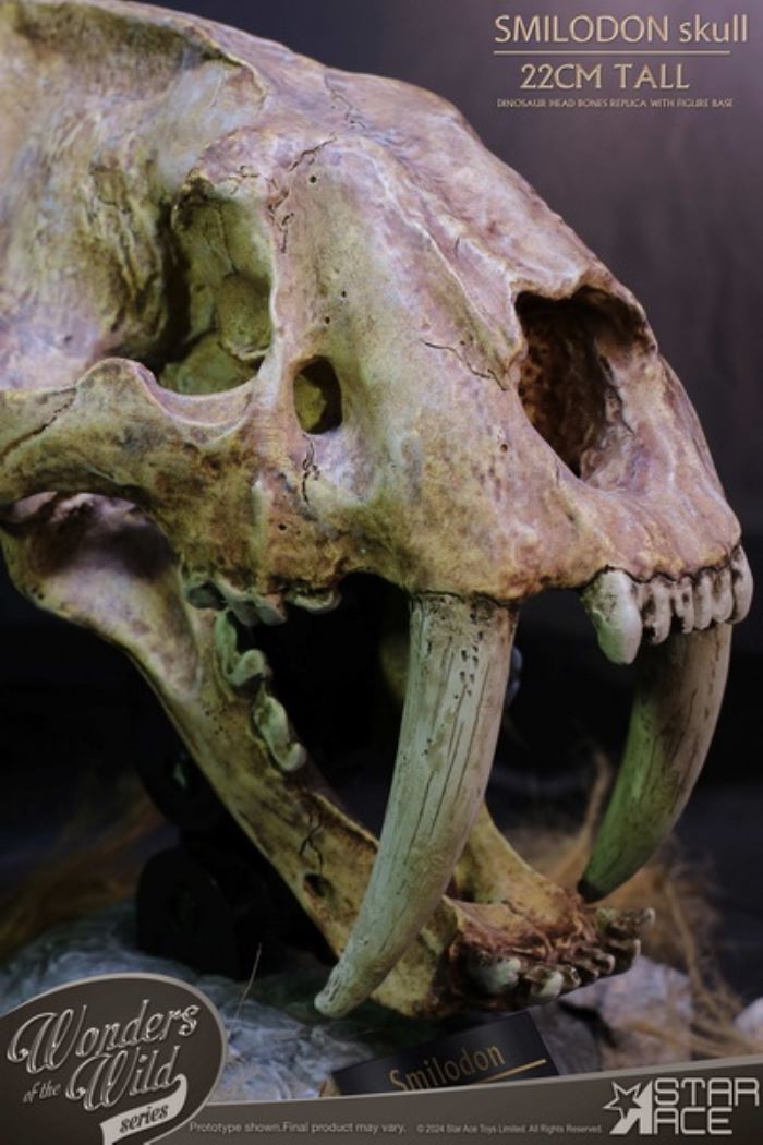 Wonder Wild Series - Sabre-toothed Tiger Skull Fossil Statue