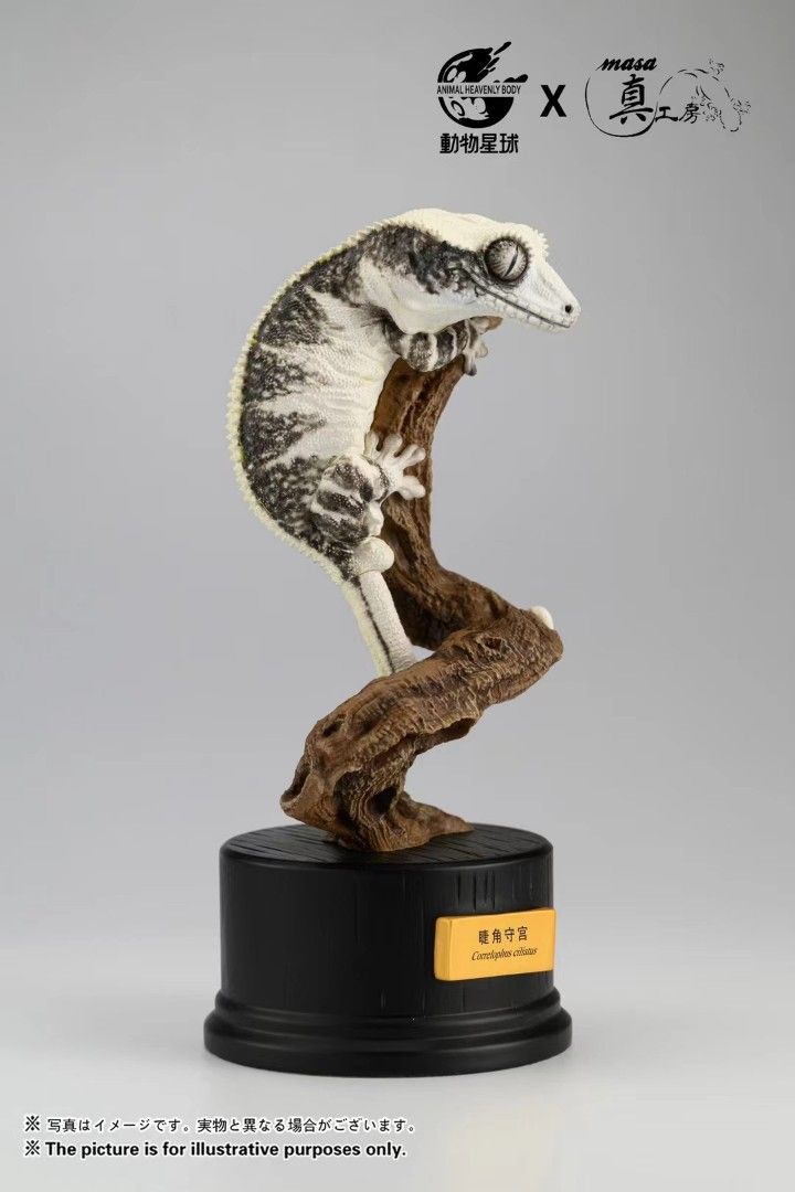 Realistic Series Lily White Gecko Arboreal Stance