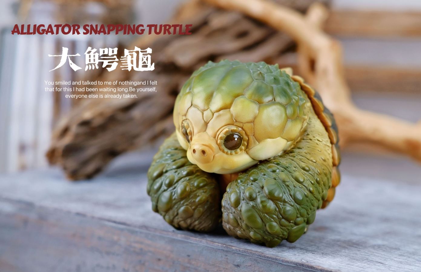 Original 2024 Zoo Turtle Series [Licensed]