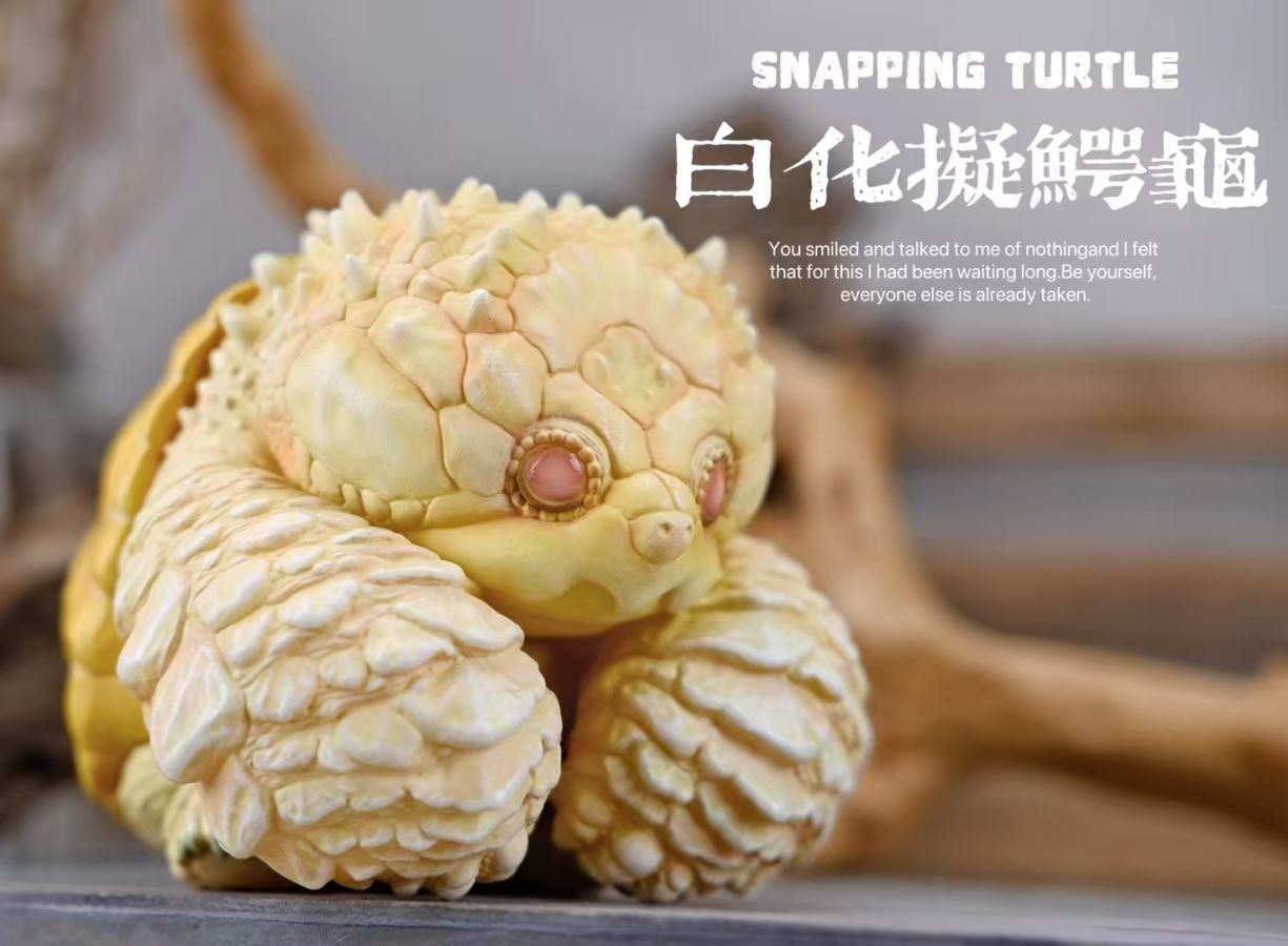 Original 2024 Zoo Turtle Series [Licensed]