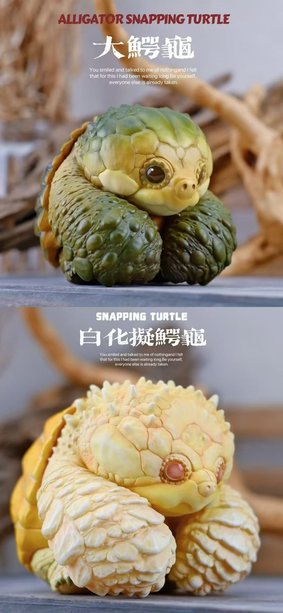 Original 2024 Zoo Turtle Series [Licensed]