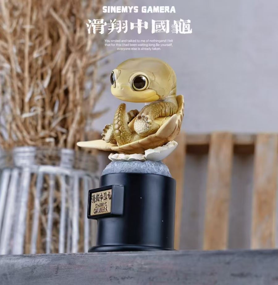 Original 2024 Ancient Turtle [Licensed]