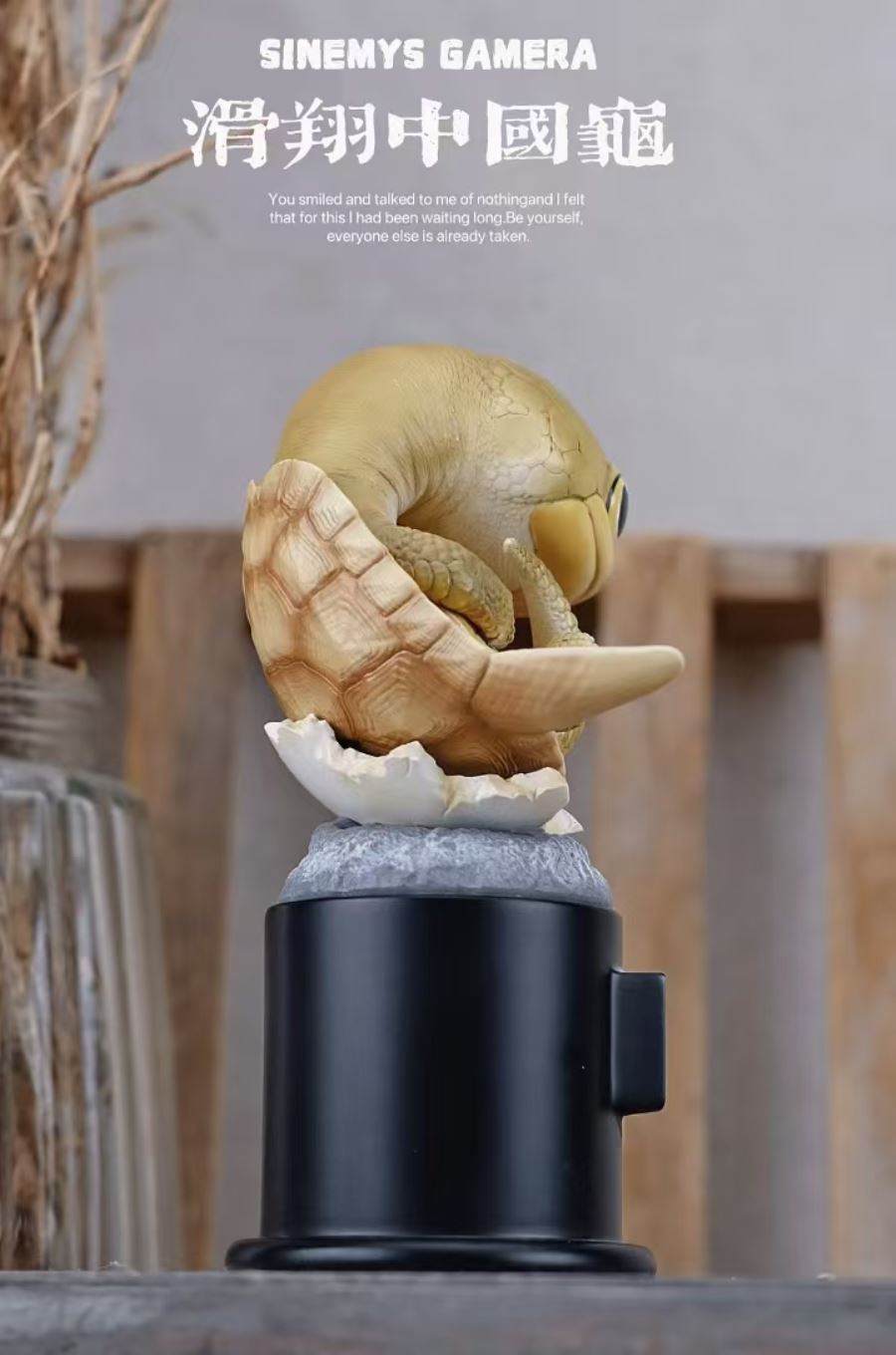 Original 2024 Ancient Turtle [Licensed]