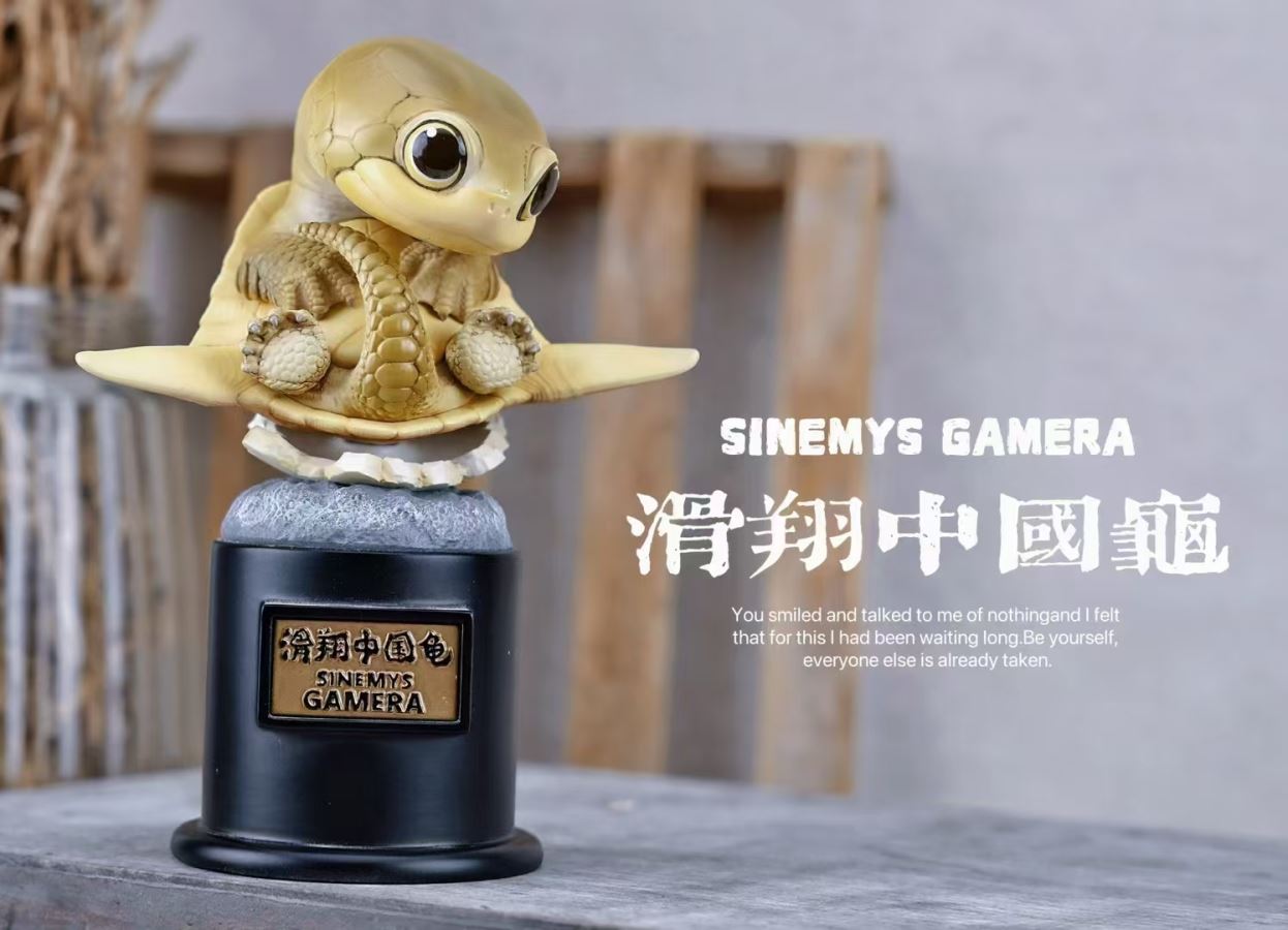 Original 2024 Ancient Turtle [Licensed]