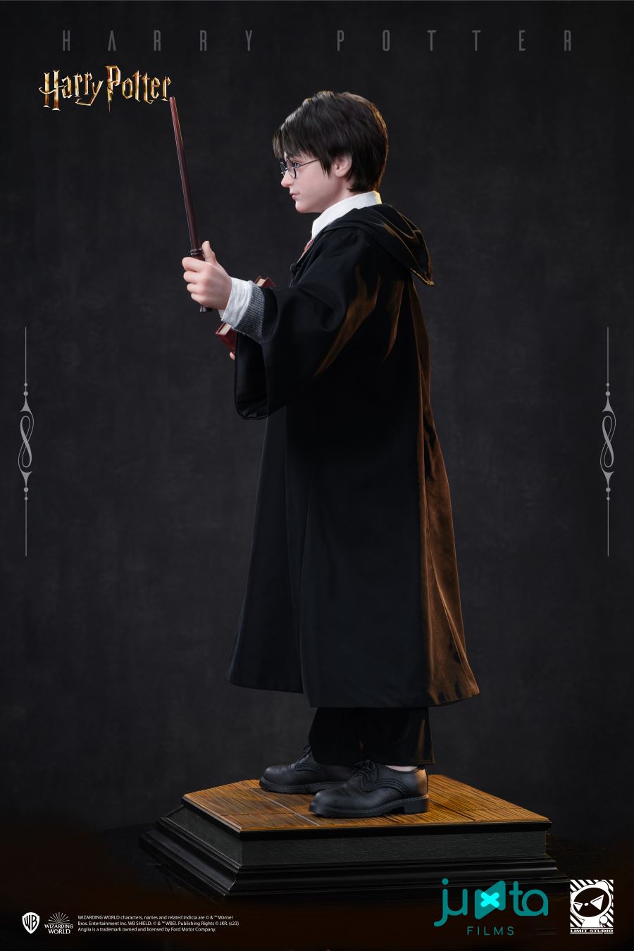 Harry Potter