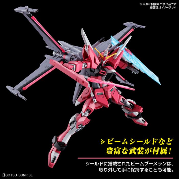 HG 1/144 Infinite Justice Gundam Type 2