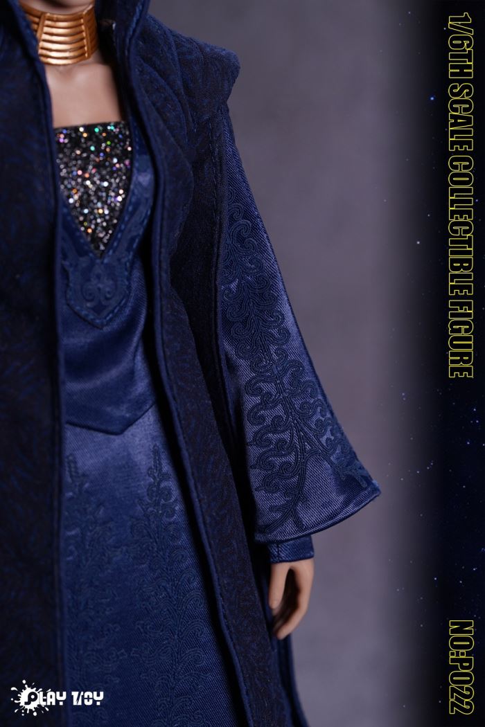 Galaxy Senator action figure (NO: P022) 1/6