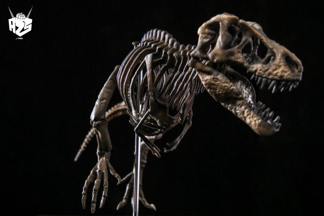 original bone creature series dinosaur fossil tyrannosaurus skeleton