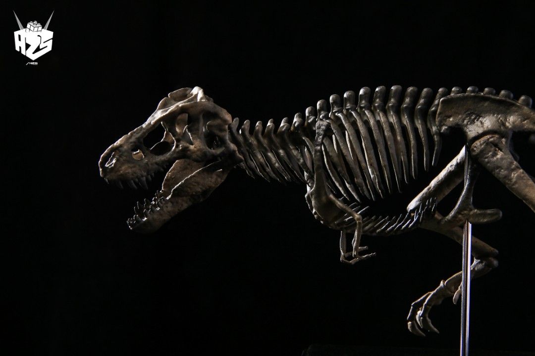 original bone creature series dinosaur fossil tyrannosaurus skeleton
