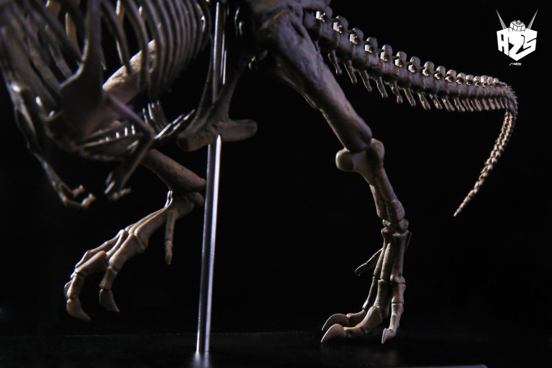 original bone creature series dinosaur fossil tyrannosaurus skeleton