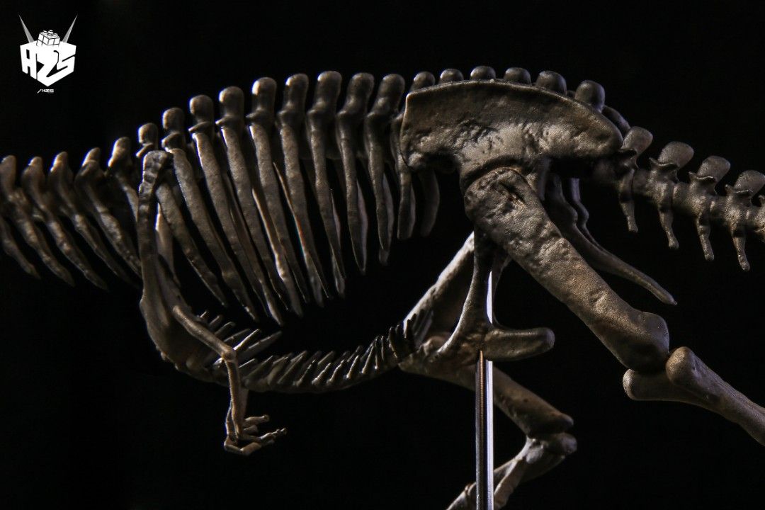 original bone creature series dinosaur fossil tyrannosaurus skeleton