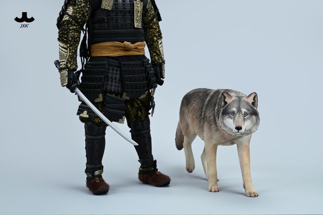 Common Gray wolf 1/6