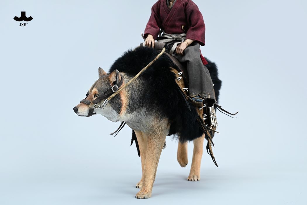 Common Gray wolf 1/6