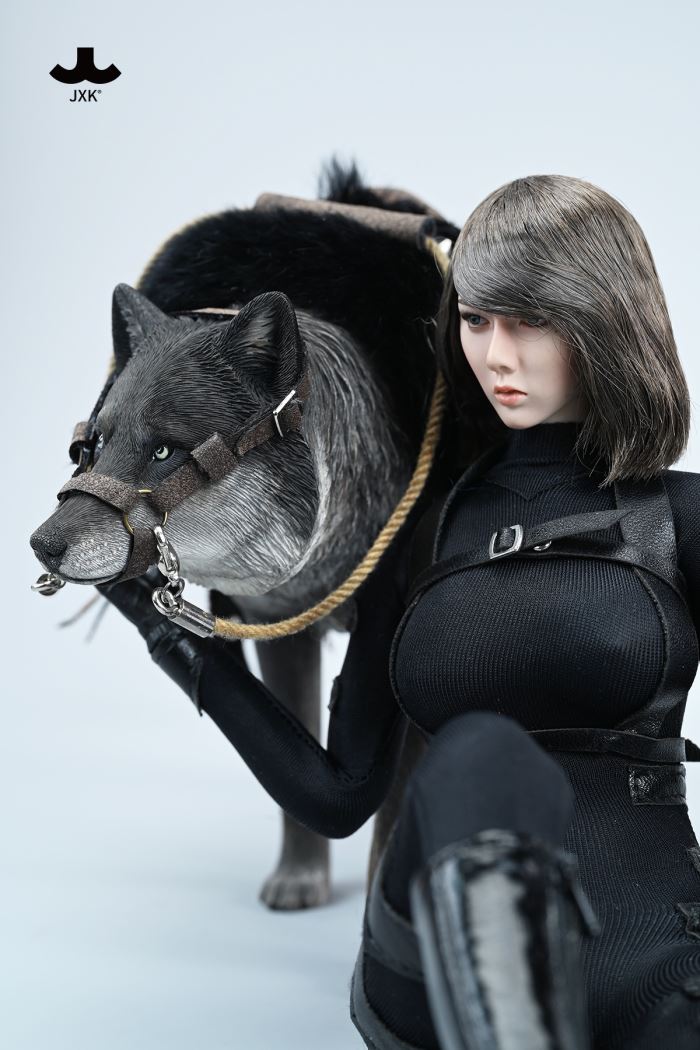 Common Gray wolf 1/6