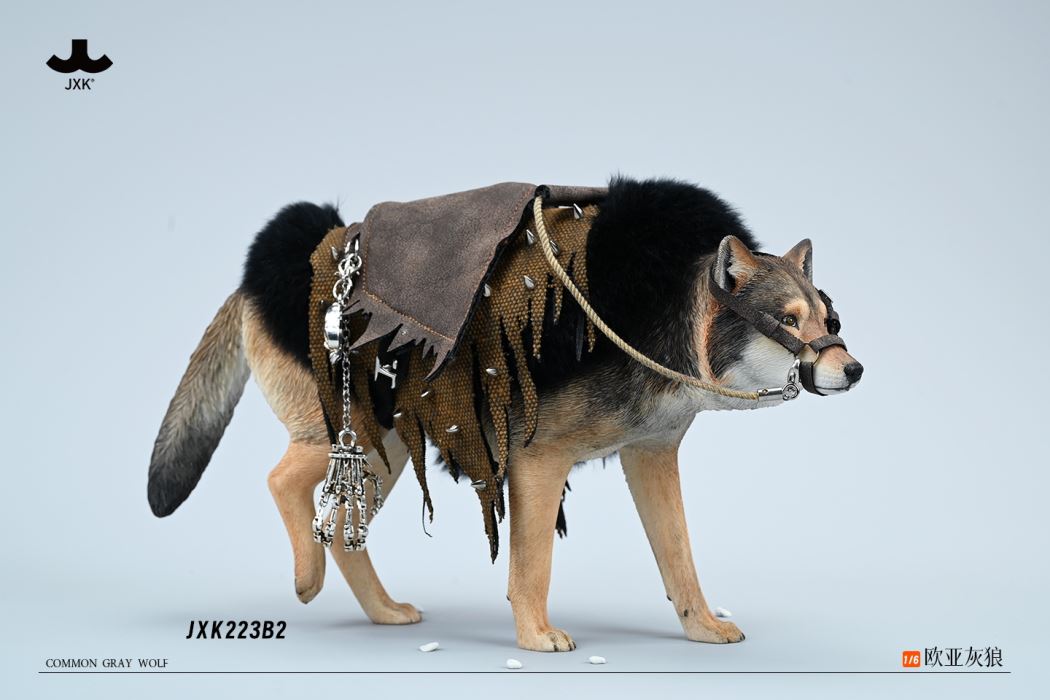 Common Gray wolf 1/6