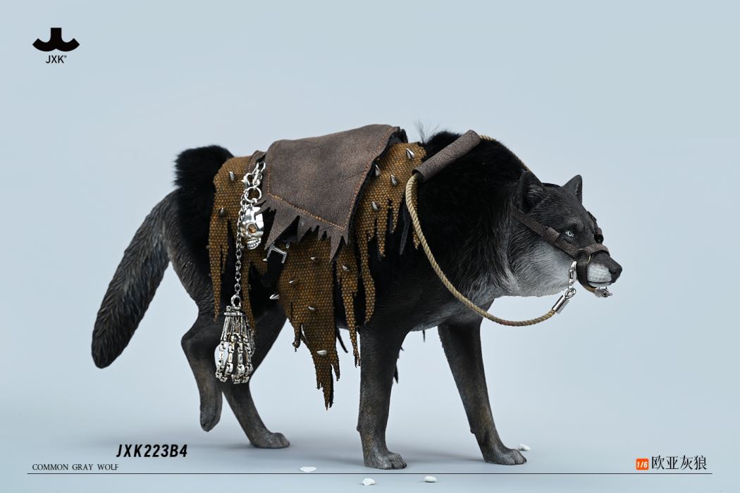 Common Gray wolf 1/6