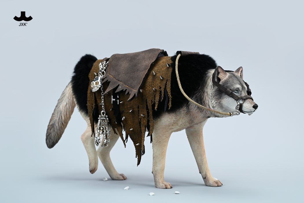 Common Gray wolf 1/6