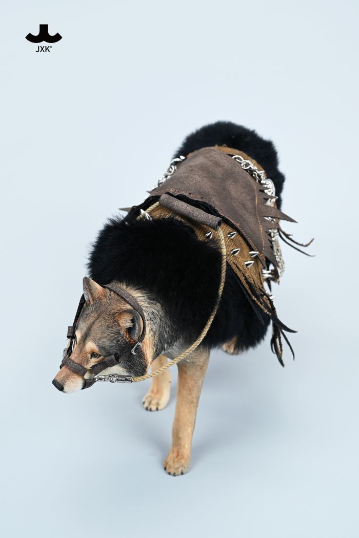 Common Gray wolf 1/6