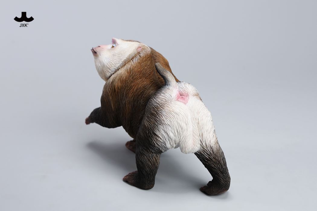 Northern Pigtail Macaque 1/6