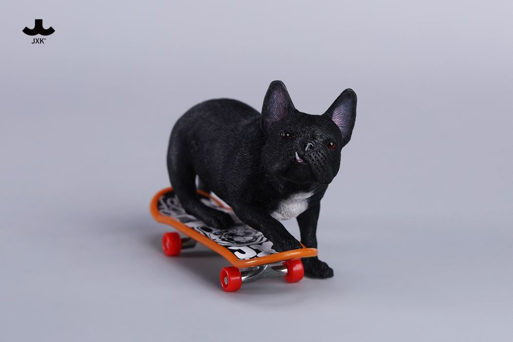 Skateboarding French Bulldog 1/6