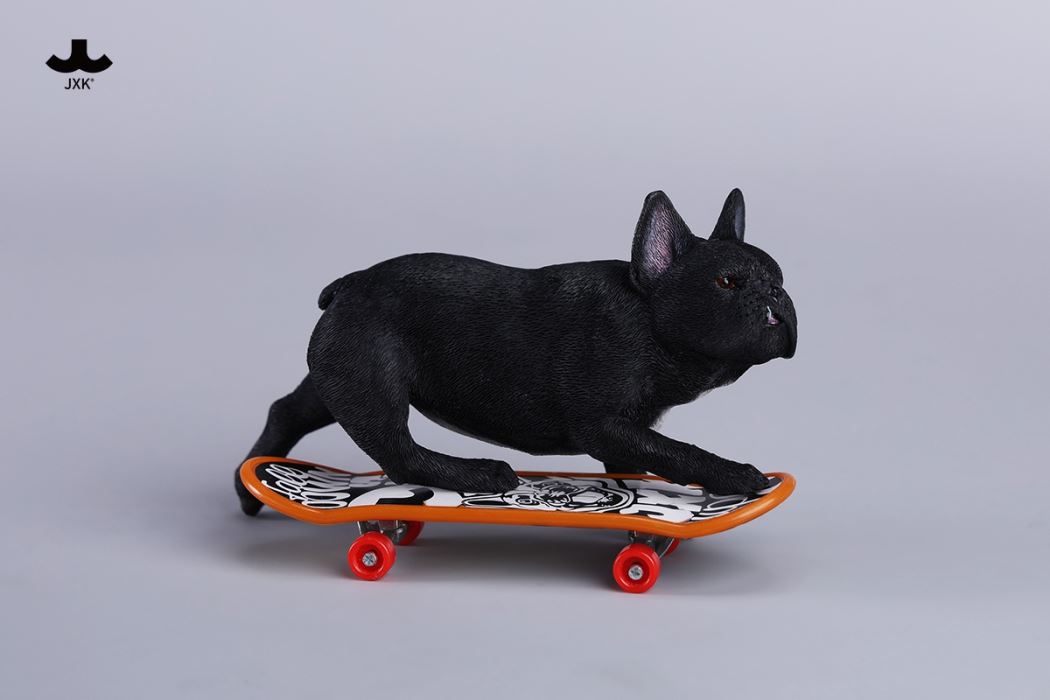 Skateboarding French Bulldog 1/6