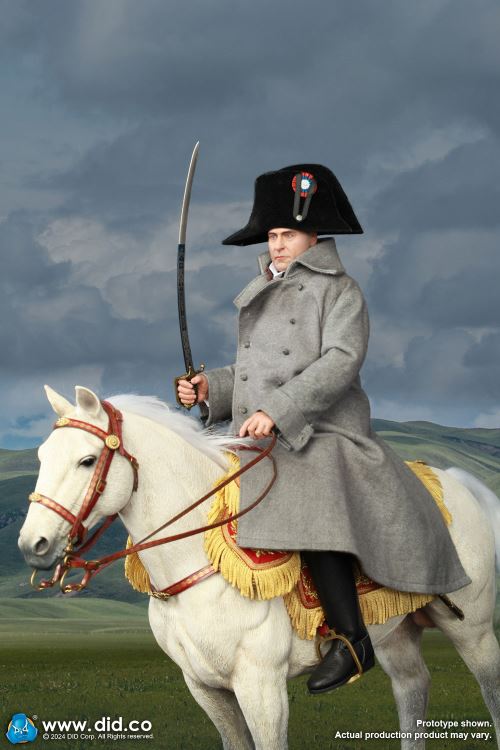 Napoleon 1/6