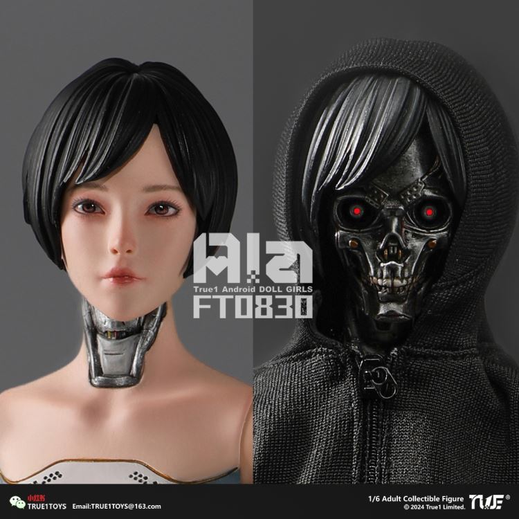 Android Ala 1/6