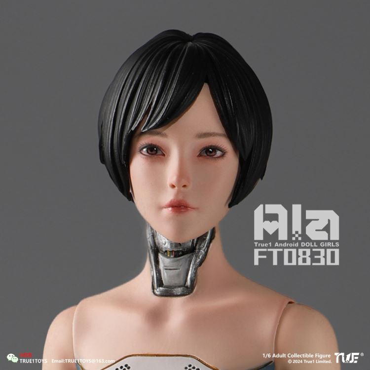 Android Ala 1/6