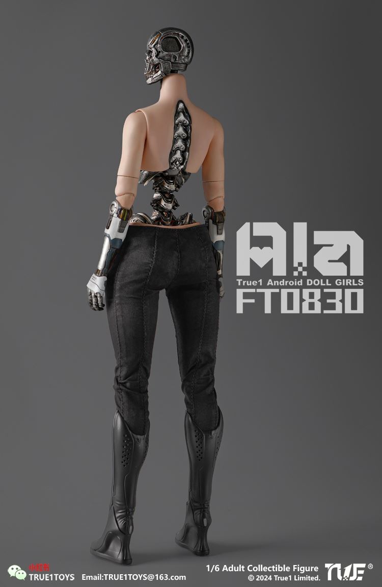 Android Ala 1/6