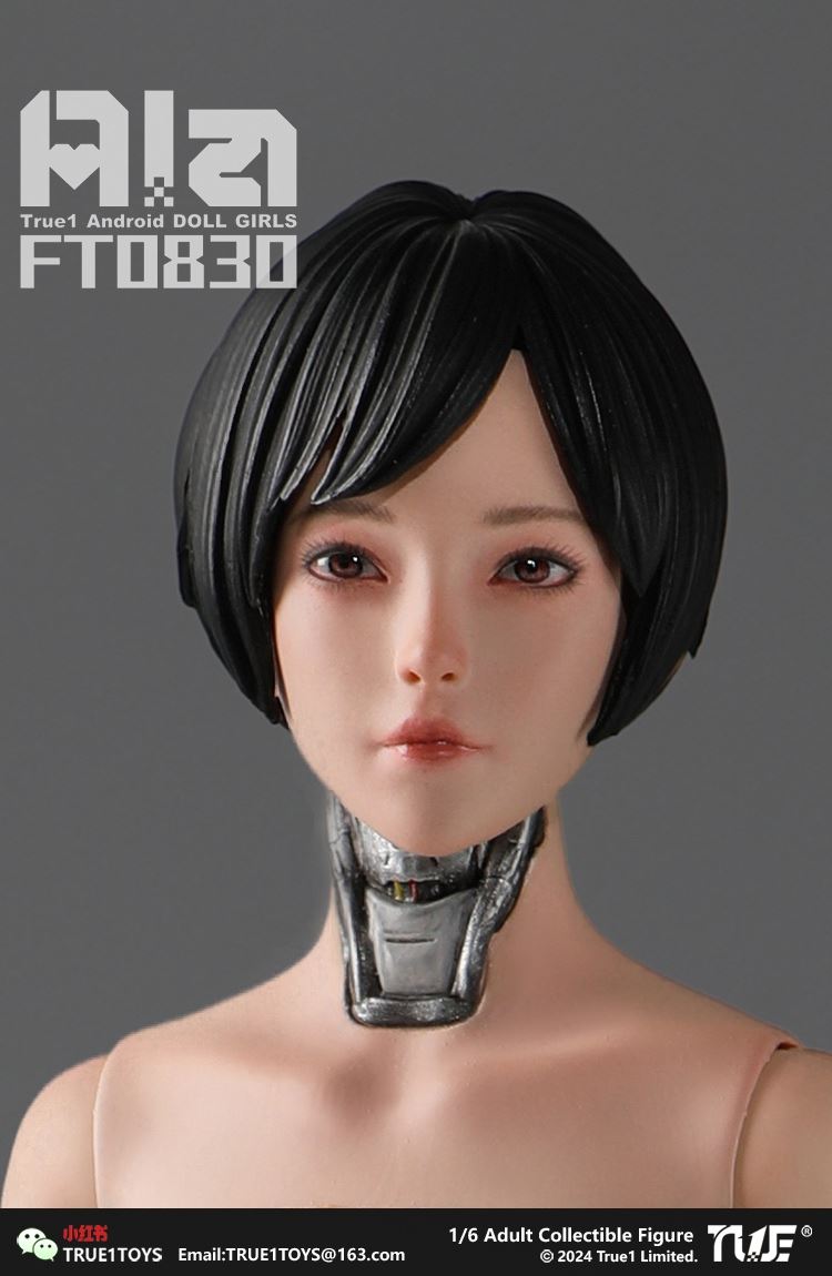 Android Ala 1/6