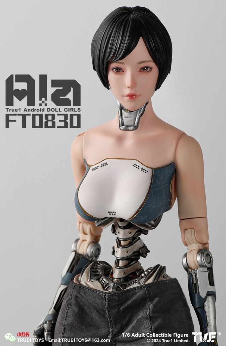 Android Ala 1/6