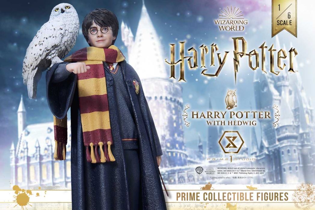 Harry Potter With Hedwig