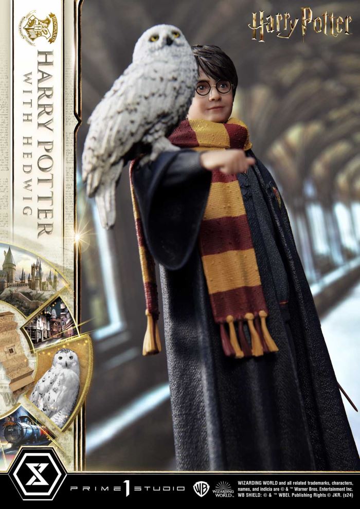 Harry Potter With Hedwig